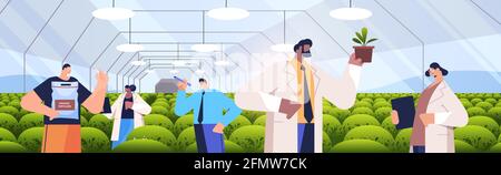 mix race agricultural engineers researching plants in greenhouse agriculture scientist smart farming Stock Vector