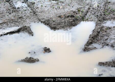 Puddle of rain water and tire tracks on muddy dirt road Stock Photo