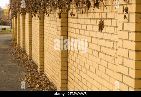 The YELLOW brick fence wall, overgrown with dry plant branches and grass on autumn street, in the open. Stock Photo