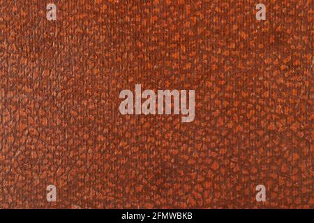 Texture of a vintage box for records from brown leather, background Stock Photo