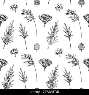 Hand drawn botany seamless pattern with pampas grass and berries. Vector illustration in sketch style Stock Vector
