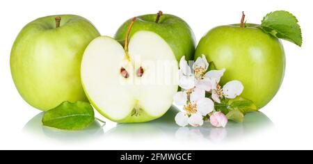 Apples fruits green apple fruit collection with leaves and blossoms isolated on a white background food Stock Photo