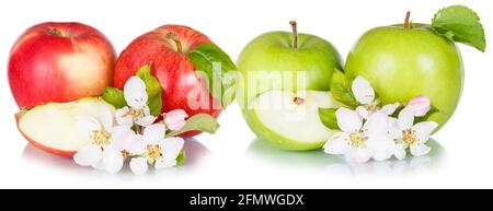 Apples fruits red green apple fruit collection with leaves and blossoms in a row isolated on a white background food Stock Photo