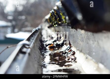 A soft focus of snow melting with the drops of water falling from a roof into a rain gutter pipe clogged with fallen leaves. Stock Photo