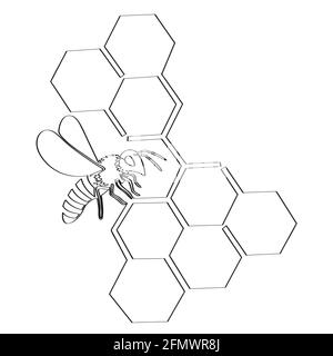 Bee and honeycomb are drawn with one solid line. Isolated on white background stock vector illustration Stock Vector