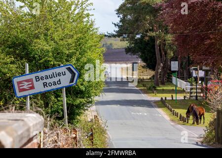 The sign of Beaulieu road station in the new forest with wild ponies on the roadside, a typical scene from the new forest Stock Photo