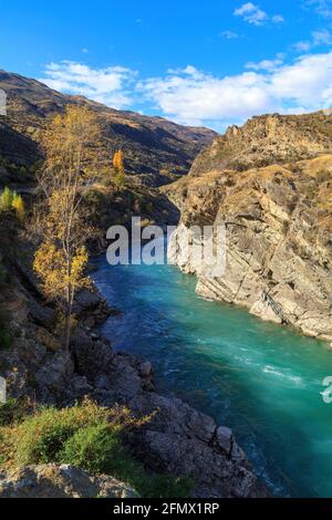 The Kawarau River in the Otago region, South Island, New Zealand, flowing through a narrow gorge with autumn trees on the cliffs above Stock Photo