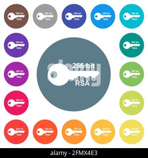 256 bit rsa encryption flat white icons on round color backgrounds. 17 background color variations are included. Stock Vector