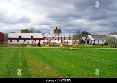 UPPER FREEHOLD, NJ -16 APR 2021- View of the Holland Ridge Farm, the largest pick your own tulip farm in Cream Ridge, Freehold, New Jersey, United Sta Stock Photo