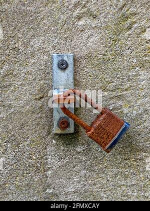 Rusted padlock hanging from bolt on exterior wall Stock Photo