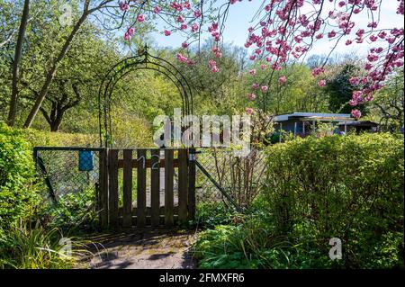 Gartenanlage in Kiel im Frühjahr zur Kirschblütenzeit Stock Photo Alamy