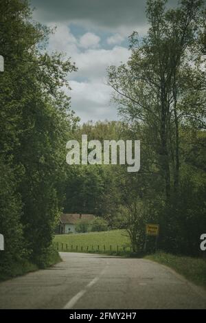 Vertical shot of a curving road through a beautiful green forest Stock ...