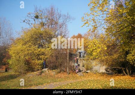 POZNAN, POLAND - Jan 31, 2016: Children playing by trees at the Cytadela park in the autumn season on a sunny day. Stock Photo