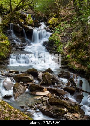 The large waterfall at Melincourt Brook in Resolven in the Neath Valley in South Wales, UK Stock Photo