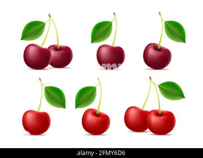Cherry 3d illustration of berries one with leaf and two on one barnch in different red tint, isolated Stock Vector