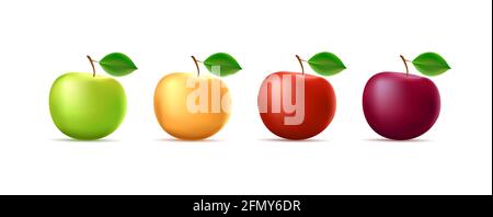 Set of 3d illustrations of apple in four different colors with leaf, isolated graphic element Stock Vector