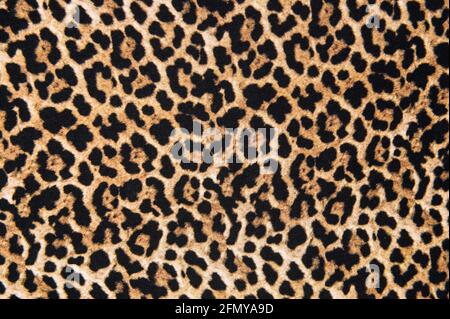 Animal print textile texture. Leopard fur design background Stock Photo