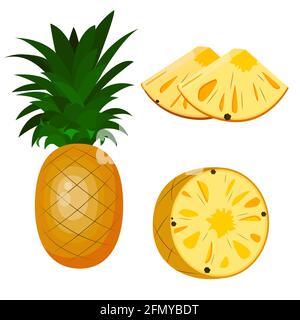 pineapple, whole, half pineapple and pieces. vector isolated on white background. Stock Vector