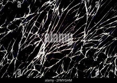 Shattered smart phone screen closeup view Stock Photo