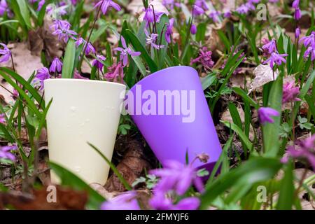 Yellow and purple colorful reusable plastic glasses for picnic in wild spring blooming lawn close-up. Travel cups with water drops in purple flowers. Stock Photo