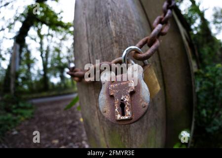 rusty, old, padlock, chain, farm, gate, woodland, agriculture, new,Isle of Wight,England,UK, Stock Photo
