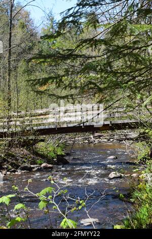 Gentilly river regional park in souther Quebec Stock Photo