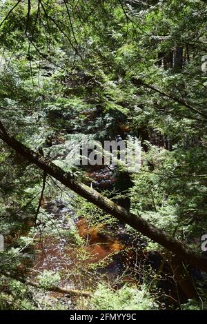 Gentilly river regional park in souther Quebec Stock Photo