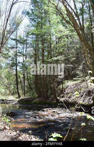 Gentilly river regional park in souther Quebec Stock Photo