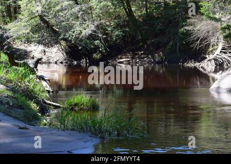 Gentilly river regional park in souther Quebec Stock Photo