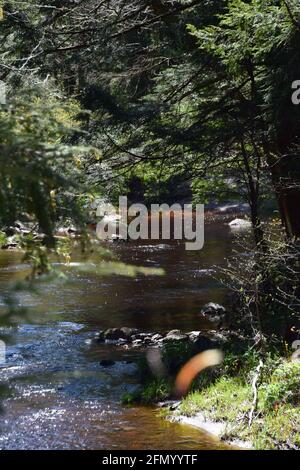 Gentilly river regional park in souther Quebec Stock Photo