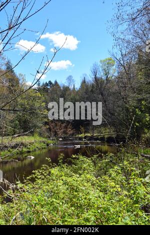 Gentilly river regional park in souther Quebec Stock Photo