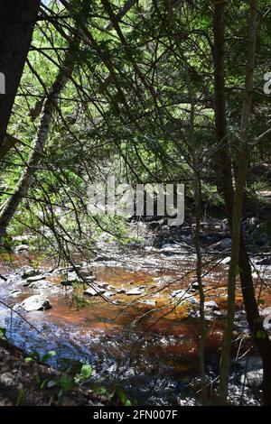 Gentilly river regional park in souther Quebec Stock Photo