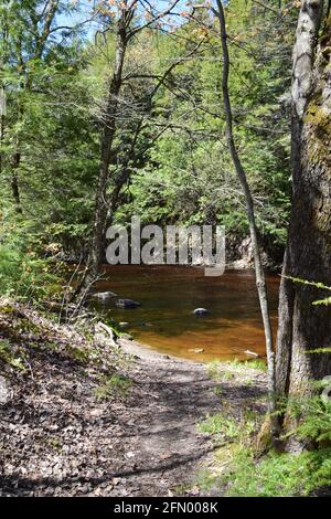 Gentilly river regional park in souther Quebec Stock Photo