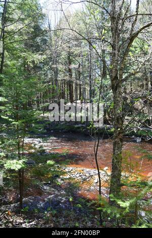 Gentilly river regional park in souther Quebec Stock Photo