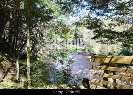 Gentilly river regional park in souther Quebec Stock Photo