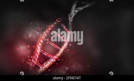 Destruction of the DNA model on a dark background, 3D render. Stock Photo