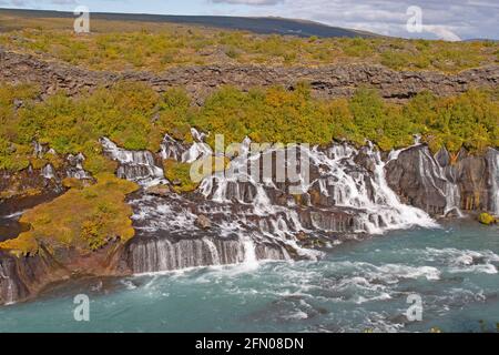 Dramatic Hraunfossar Falls Streaming out of  Lava Field near Husafell, Iceland Stock Photo