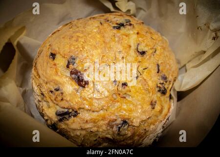 Loaf of freshly baked no knead olive bread on parchment paper. Stock Photo