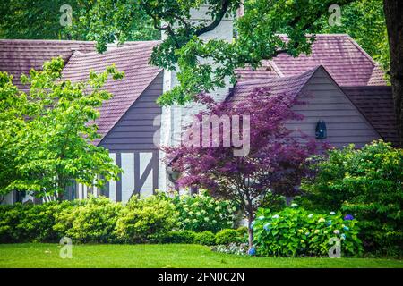 Modern half timbered house almost hidden behind shubbery and hydrangeas and landscape trees - beautiful summer scene Stock Photo