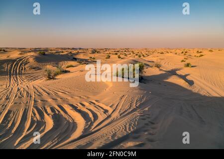 Footprints in the sand Long road dune bashing. Desert landscape. Tourist Safari cars on sand dunes on the desert. Dubai Safari UAE Stock Photo