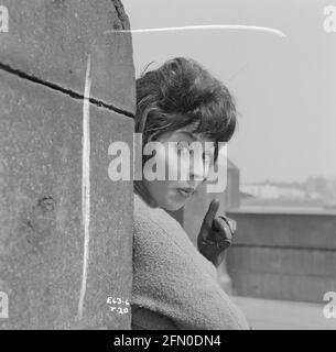 What a Crazy World, 1963, Film Stock Photo