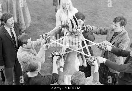 The Wicker Man (1973)     Date: 1973 Stock Photo