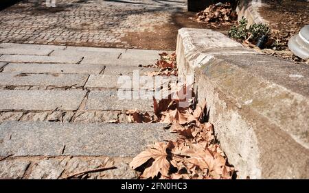 Stairs made of stone and rocks inside the park in Besiktas istanbul. Green grass and dried trees around the stairs. Stock Photo