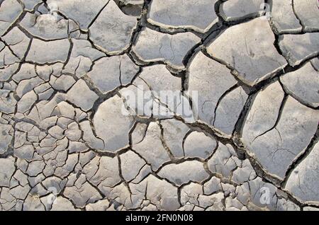 Cracks in Mud Stock Photo