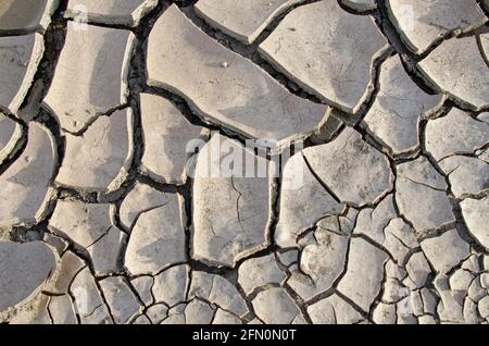 Cracks in Mud Stock Photo
