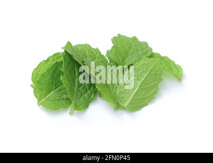 Fresh mint leaves pattern isolated on white background Stock Photo