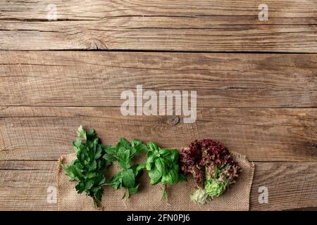 Gardening and healthy eating concept with different herbs and salad leaves, basil, mint, radicchio, parsley and celery on gray background Stock Photo