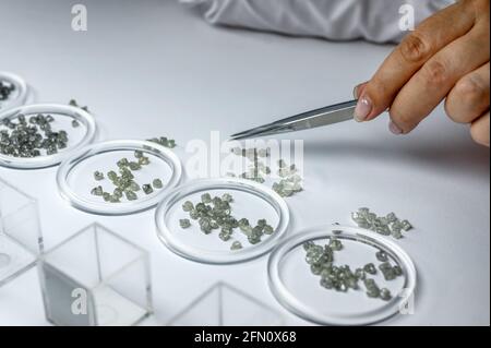 The process of manual sorting of diamonds. Gemstones are sorted by quality and weight and arranged in glass cups Stock Photo