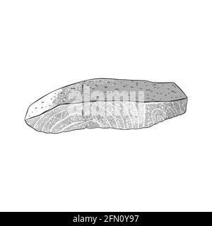 Salmon fish fillet on skin, slice of raw atlantic salmon with skin, isolated vector illustration, seafood ingredient, ink hand drawn clip art Stock Vector