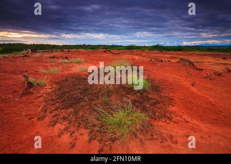 Panama landscape at sunset with wet red soil after rainfall in the desert of Sarigua national park, Herrera province, Republic of Panama Stock Photo